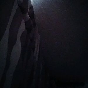 Meet your Posher, Malaiya